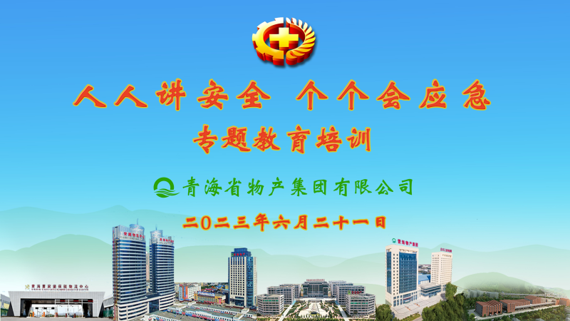 提高安全管理水平 落实全员安全责任&mdash;&mdash;集团安委会举办2023年&ldquo;人人讲安全，个个会应急&rdquo;专题教育培训