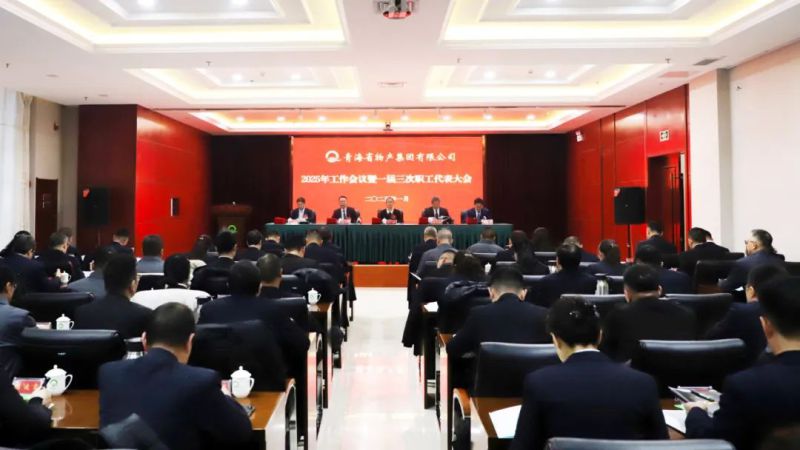 坚定信心促发展 实干争先攀新高&mdash;&mdash;省物产集团2025年工作会议暨一届三次职代会胜利召开