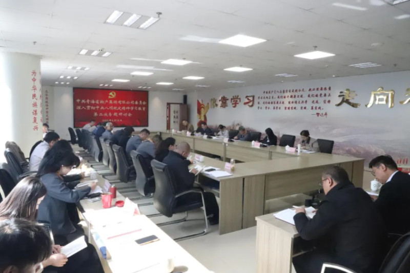 省物产集团党委召开深入贯彻中央八项规定精神学习教育第二次专题研讨会