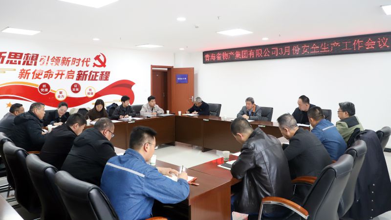 集团召开2025年3月份安全生产工作会议