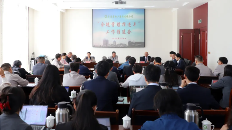 爱游戏平台-爱游戏(中国)一站式服务平台召开&ldquo;合规管理推进年&rdquo;工作推进会