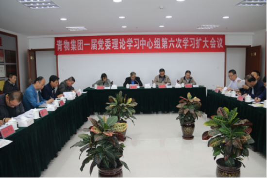 爱游戏平台-爱游戏(中国)一站式服务平台召开一届党委理论学习中心组第六次学习扩大会议